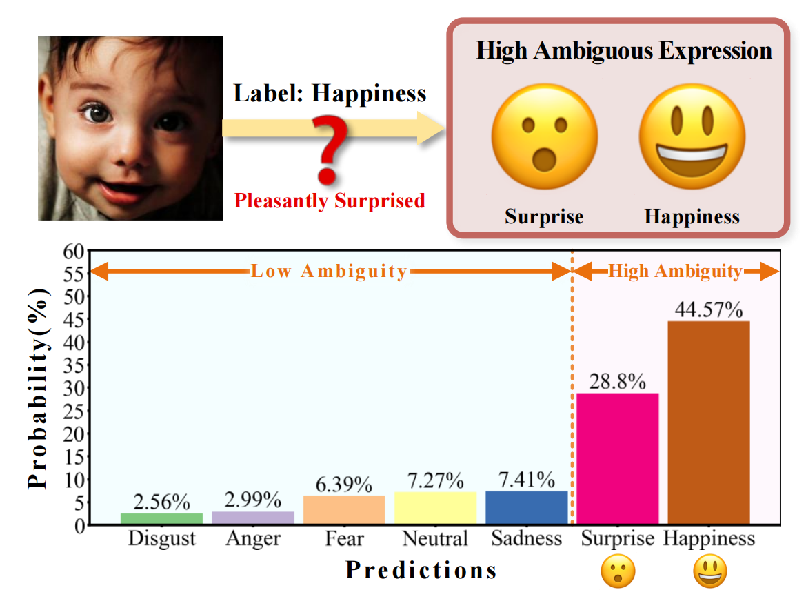 Co-dance with Ambiguity: An Ambiguity-Aware Facial Expression Recognition Framework for More Robustness